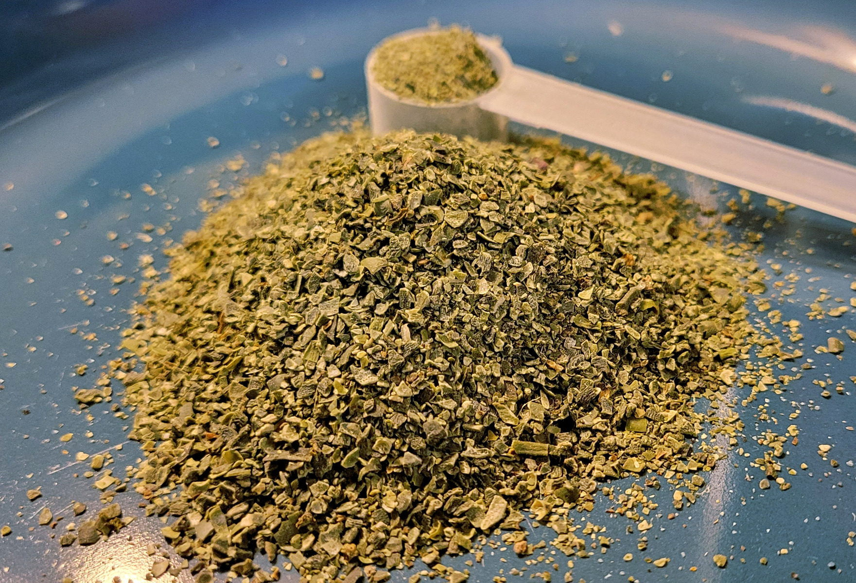 Kelp for Goats